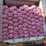 Đơn hàng hành tây tươi xuất khẩu sang Malaysia