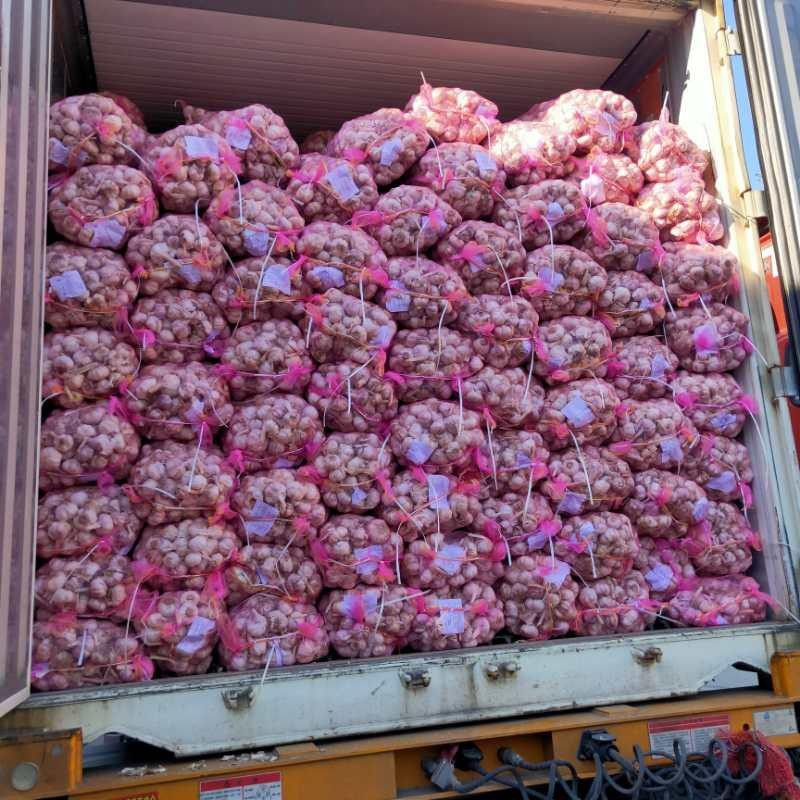 Buyer tìm nhà cung cấp Fresh Onion, số lượng 1 container 20 feet