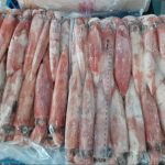 Đơn hàng hải sản đông lạnh xuất khẩu sang Anh