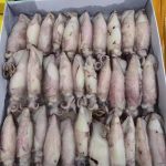 Đơn hàng hải sản đông lạnh xuất khẩu sang Kuwait