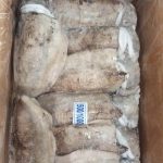ĐƠN HÀNG MỰC NANG ĐÔNG LẠNH XUẤT KHẨU SANG THÁI LAN