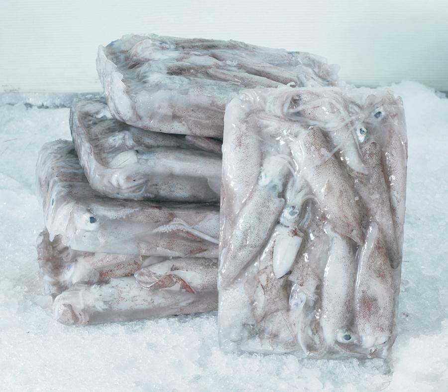 BUYER QUỐC TẾ TÌM NHÀ CUNG CẤP FROZEN SQUID SANG PHILIPPINES