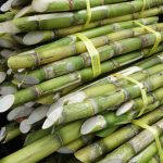 ĐƠN HÀNG TRÁI CÂY TƯƠI XUẤT KHẨU